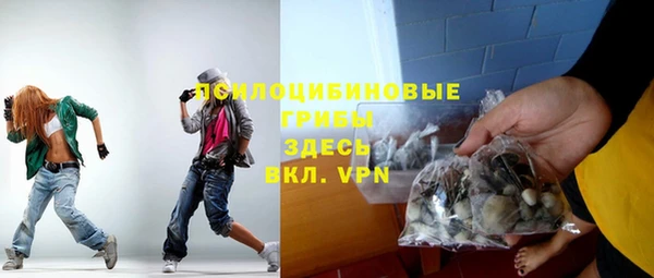 прущие грибы Арсеньев