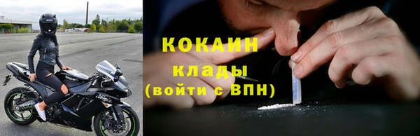 прущие грибы Арсеньев