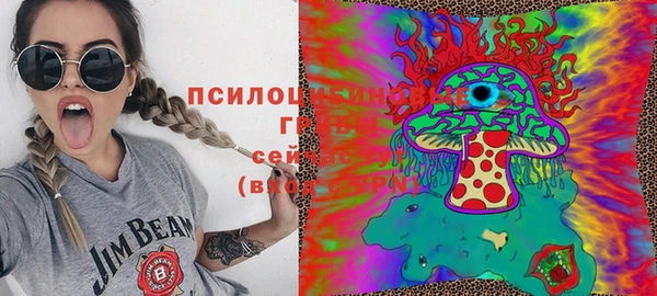 прущие грибы Арсеньев